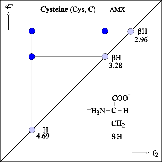 Double Relayed Cosy Pattern Of Amino Acids