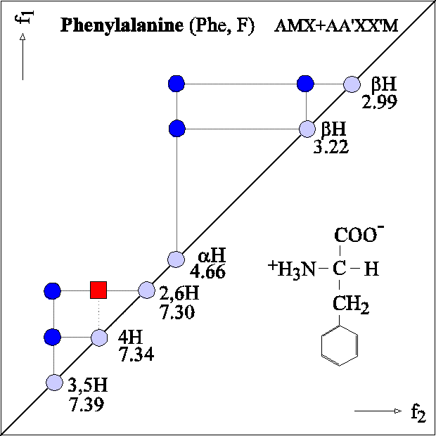 Double Relayed Cosy Pattern Of Amino Acids