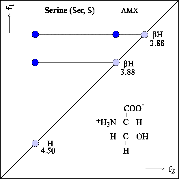 Double Relayed Cosy Pattern Of Amino Acids